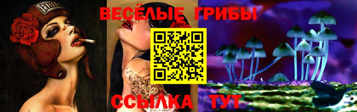 магазин  наркотиков  Галлюциногенные грибы MAGIC MUSHROOMS  Вход с VPN  Белогорск 